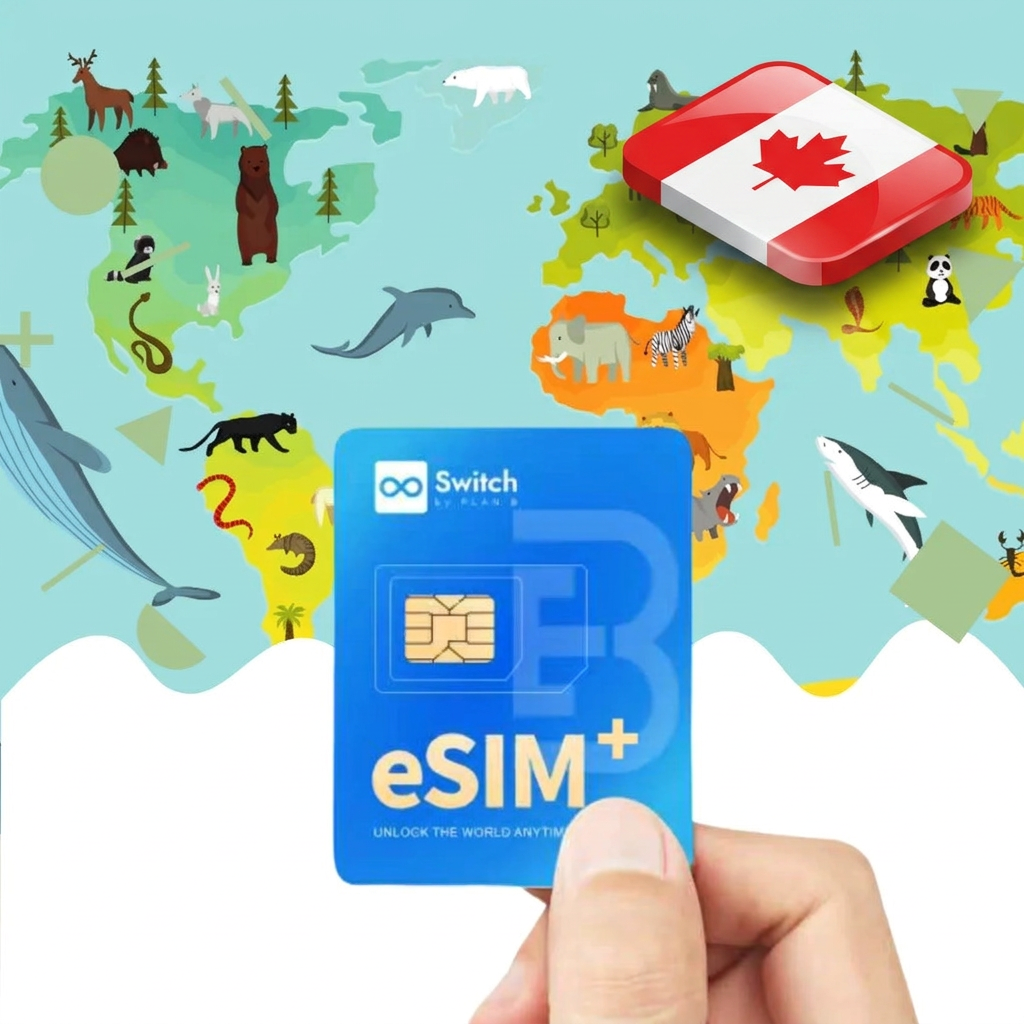 Switch physical eSIM adapter card bundled with a Canada 10GB 30-day eSIM data plan package — a reusable travel SIM solution for staying connected in Canada, compatible with both iPhone and Android smartphones