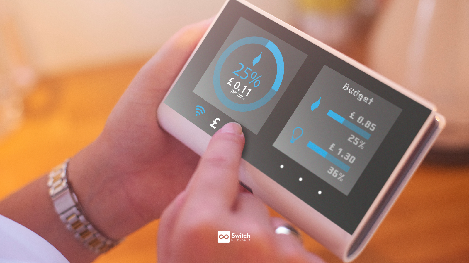 Smart Meters
