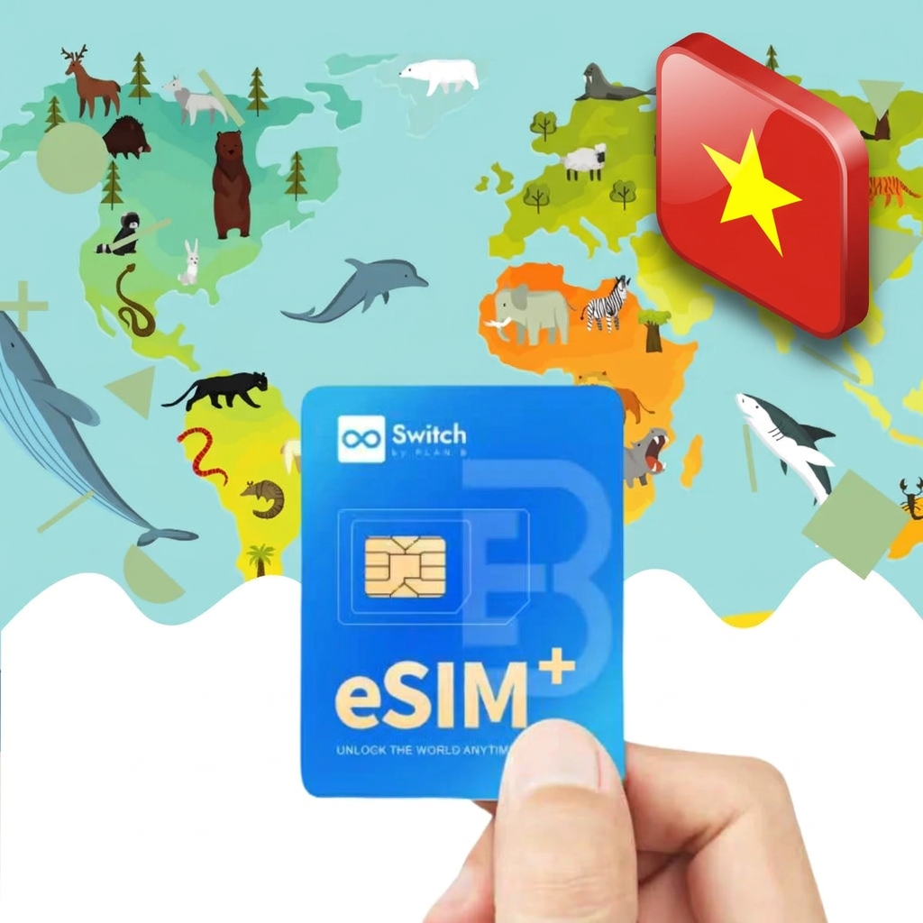 Switch physical eSIM adapter card bundled with a Vietnam 10GB 30-day eSIM data plan package — a reusable travel SIM solution for staying connected in Vietnam, compatible with both iPhone and Android smartphones