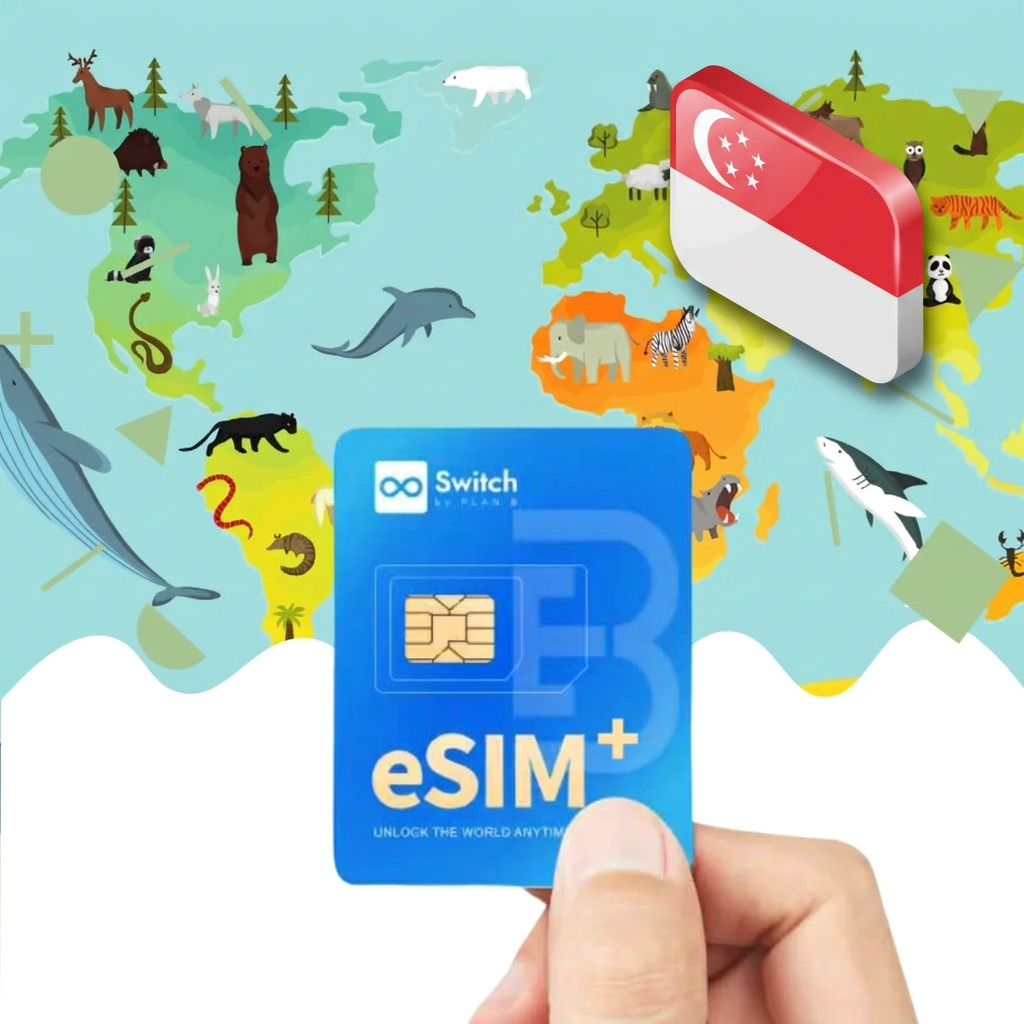Switch physical eSIM adapter card bundled with a Singapore 20GB 30-day eSIM data plan package — a reusable travel SIM solution for staying connected in Singapore, compatible with both iPhone and Android smartphones