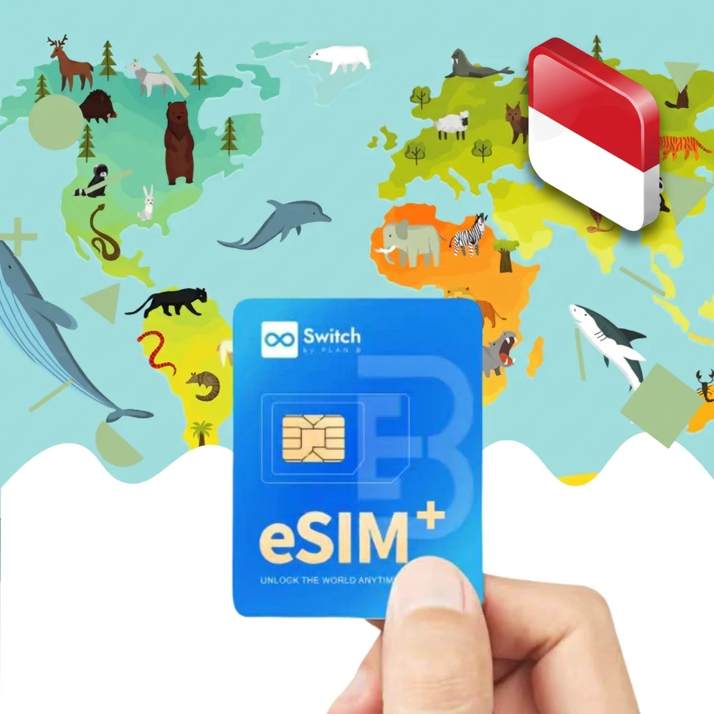Switch physical eSIM adapter card bundled with a Indonesia 20GB 30-day eSIM data plan package — a reusable travel SIM solution for staying connected in Indonesia, compatible with both iPhone and Android smartphones