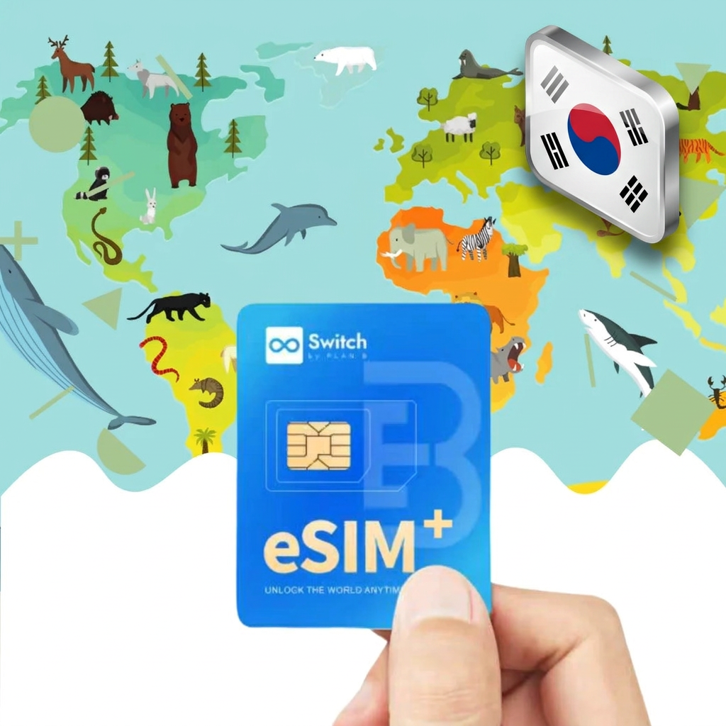 Switch physical eSIM adapter card bundled with a South Korea 20GB 30-day eSIM data plan package — a reusable travel SIM solution for staying connected in South Korea, compatible with both iPhone and Android smartphones