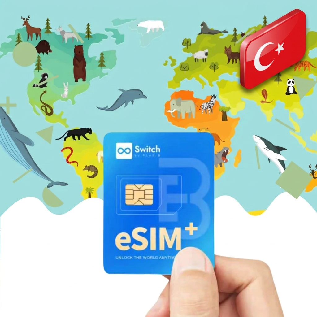 Switch Physical eSIM adapter bundled with a Turkey 20GB 30-day eSIM data plan package — a reusable travel SIM solution for staying connected in Turkey, compatible with both iPhone and Android smartphones