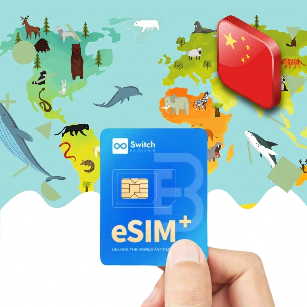 Switch physical eSIM adapter card bundled with a China 20GB 30-day eSIM data plan package — a reusable travel SIM solution for staying connected in China, compatible with both iPhone and Android smartphones