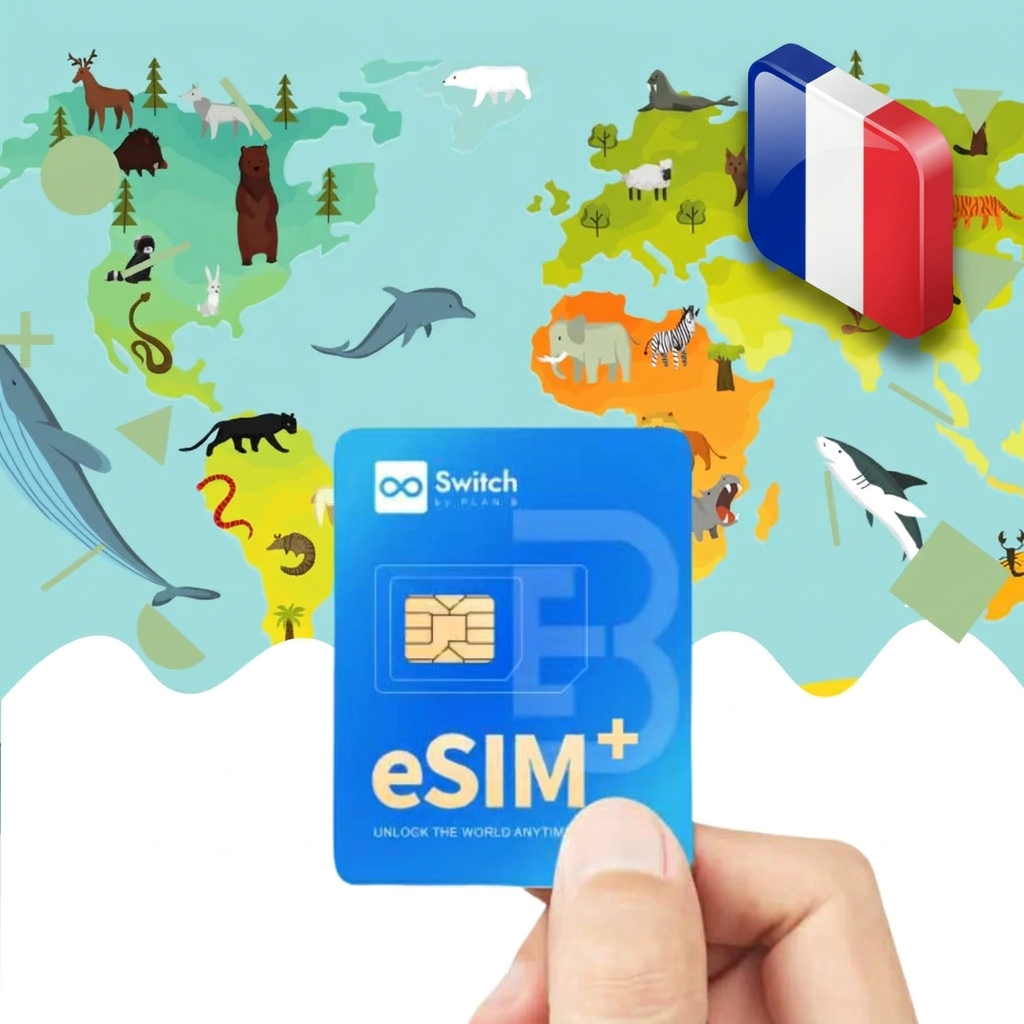 Switch physical eSIM adapter card bundled with a France 20GB 30-day eSIM data plan package — a reusable travel SIM solution for staying connected in France, compatible with both iPhone and Android smartphones